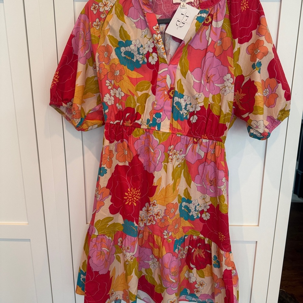 NWT Short sleeve v neck fairycore Floral Dress in Red and Pink small ptp 16”
